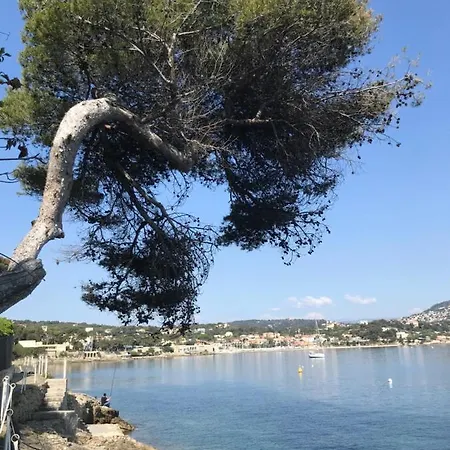 Near & Restaurants Διαμέρισμα *