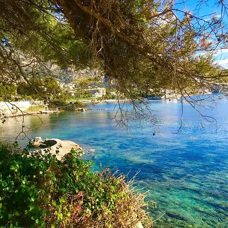 Near & Restaurants Διαμέρισμα